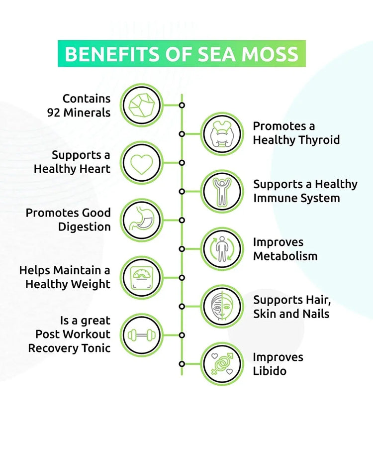 Rapid Immune Support Kit for Adults | Elderberry & Sea Moss Gel – Fast-Acting Immunity Booster Seamoss depot