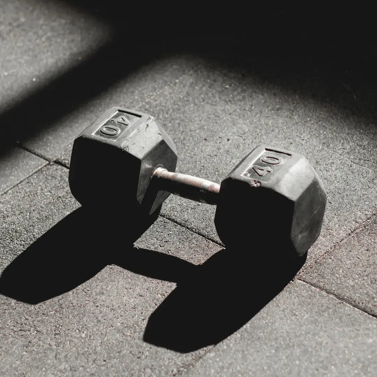 Fitness Equipment