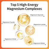 Magnesium Glycinate Malate Vitamin D3 Vegan Formula Supports Bone Health Highly Absorbable Chelated Product Roksy