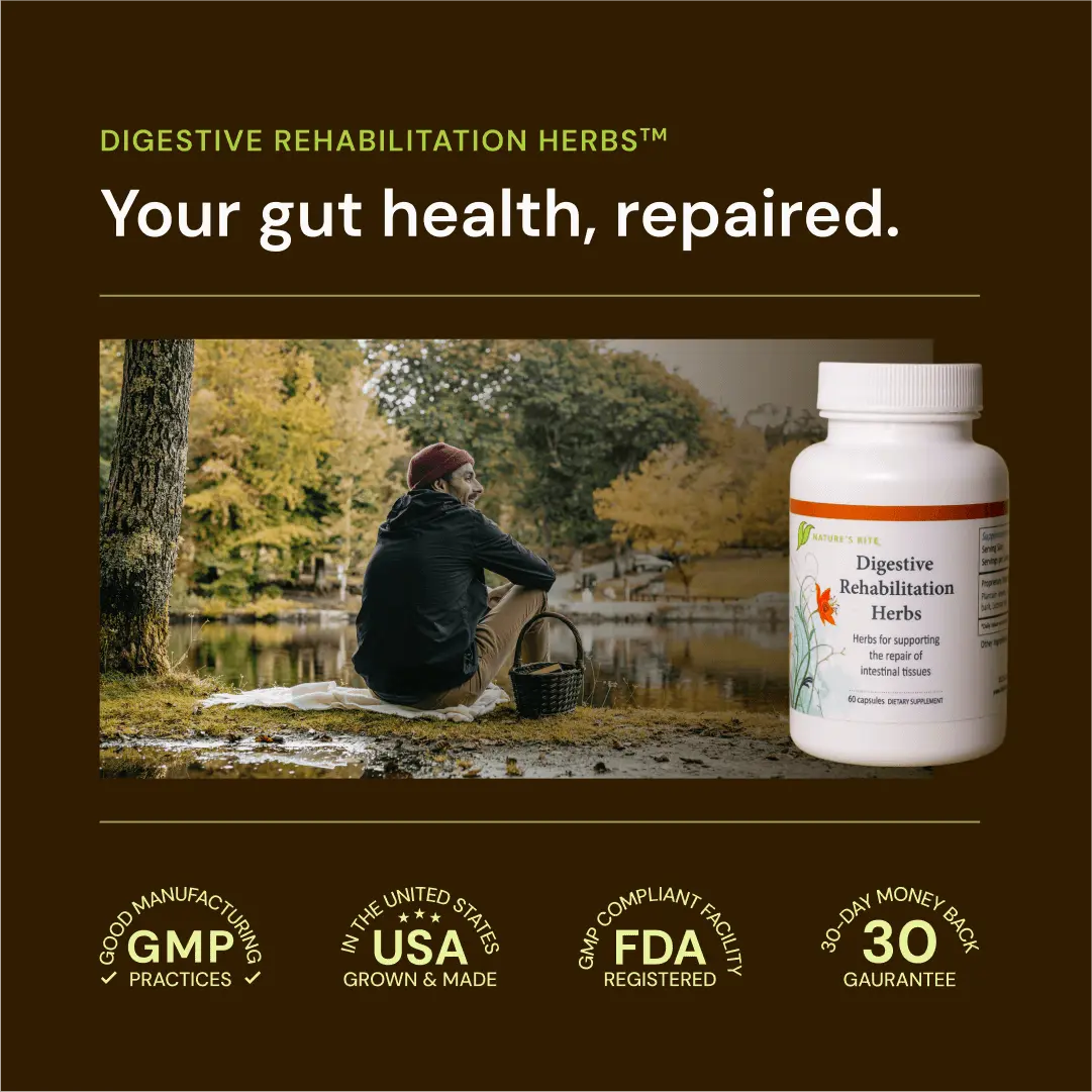 Digestive Rehabilitation Herbs Nature&