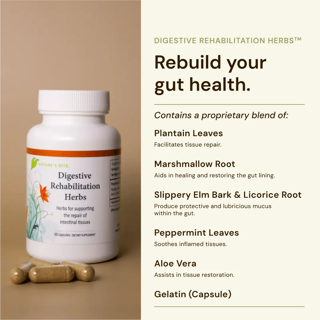 Digestive Rehabilitation Herbs Nature&