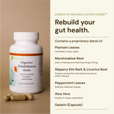 Digestive Rehabilitation Herbs Nature&