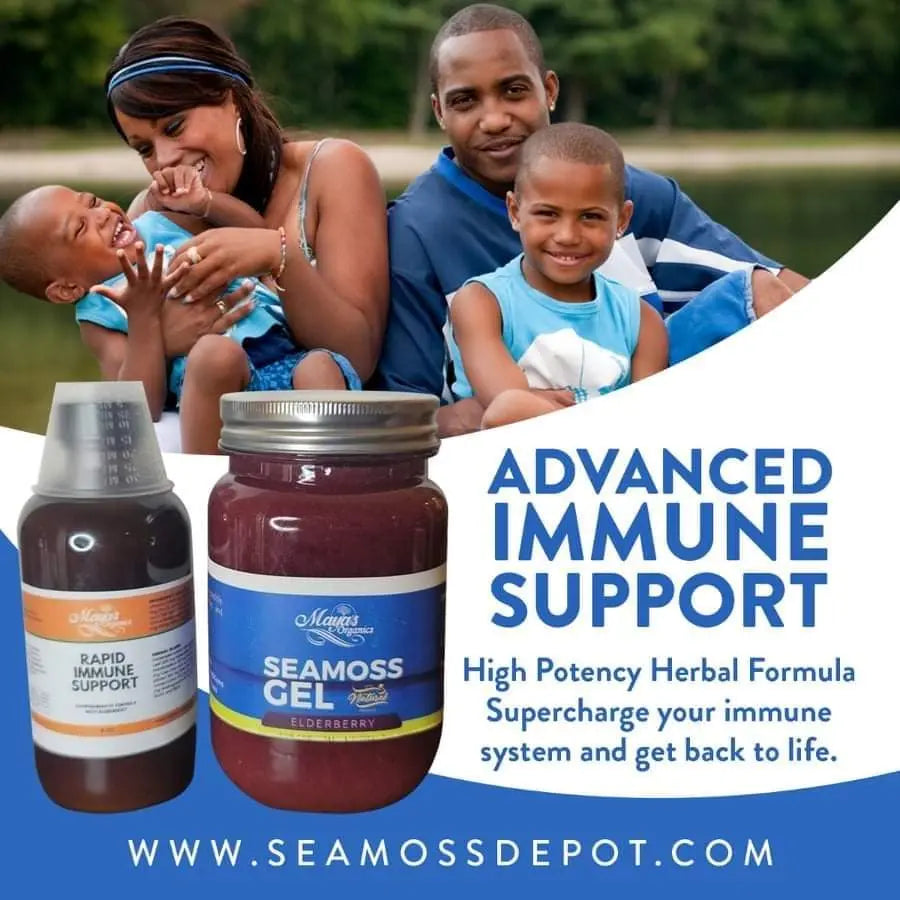 Rapid Immune Support Kit for Adults | Elderberry & Sea Moss Gel – Fast-Acting Immunity Booster Seamoss depot