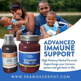 Rapid Immune Support Kit for Adults | Elderberry & Sea Moss Gel – Fast-Acting Immunity Booster Seamoss depot