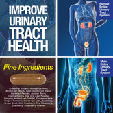 Kidney Support Cleanse – Cranberry & Astragalus Capsules Saint Mingiano - Supplements & Wellness Dedicated to Holistic Health