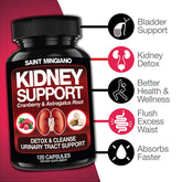 Kidney Support Cleanse – Cranberry & Astragalus Capsules Saint Mingiano - Supplements & Wellness Dedicated to Holistic Health