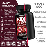 Kidney Support Cleanse – Cranberry & Astragalus Capsules Saint Mingiano - Supplements & Wellness Dedicated to Holistic Health