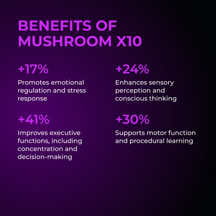 Mushroom X10 by RevitMe RevitMe - Supplements Store