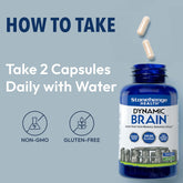 Stonehenge Health Dynamic Brain – Advanced Nootropic Supplement for Memory, Focus &amp; Clarity( Pack of 2) Ballimart
