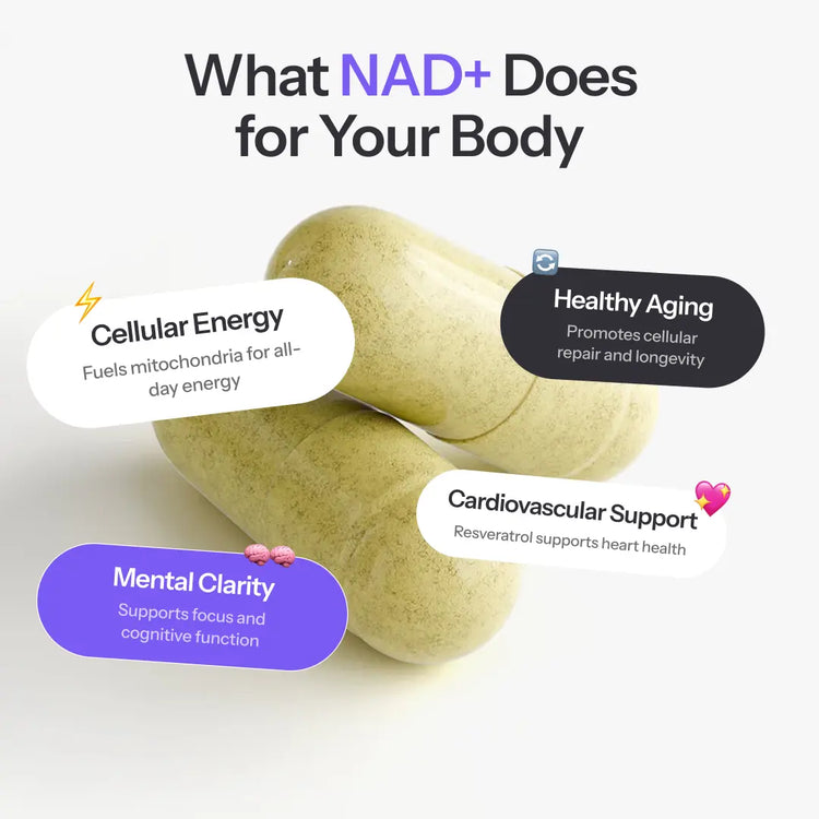 NAD+ FORTCORE.US