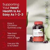 humanN SuperBeets Circulation Gummies – 60 Count (Pack of 2) | Heart-Healthy Energy with Grape Seed Extract & Beet Root Powder Ballimart
