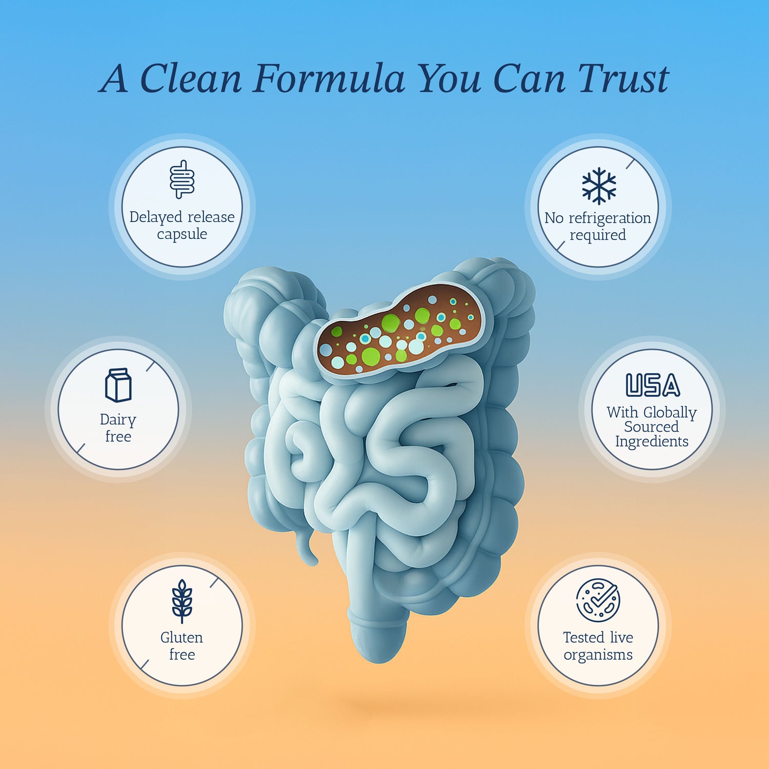 Pro-25 Probiotic Vitamin Bounty
