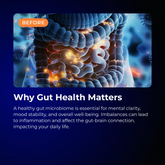 Neuro Probiotic by RevitMe RevitMe - Supplements Store