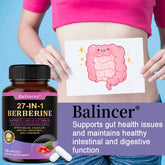 27-IN-1 Berberine Supplement | Liver and Gut Health | Blood Sugar Support | Ceylon Cinnamon Milk Thistle | 120 Capsules Roksy
