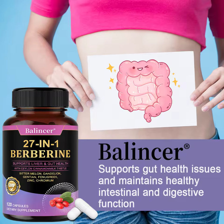 27-IN-1 Berberine Supplement | Liver and Gut Health | Blood Sugar Support | Ceylon Cinnamon Milk Thistle | 120 Capsules Roksy