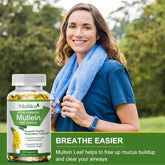 Mulittea Natural Mullein Leaf Capsules Herbal Supplement for Lung Cleanse Helps Healthy Respiratory Function & Mucous Membranes Roksy