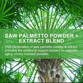 Saw Palmetto Prostate Capsules 2 x 60 = 120 capsules - Help Promote Prostate Health,Reduce Baldness and Thinning Hair & Regulate Hormonal Sex Capsules in The Body Roksy