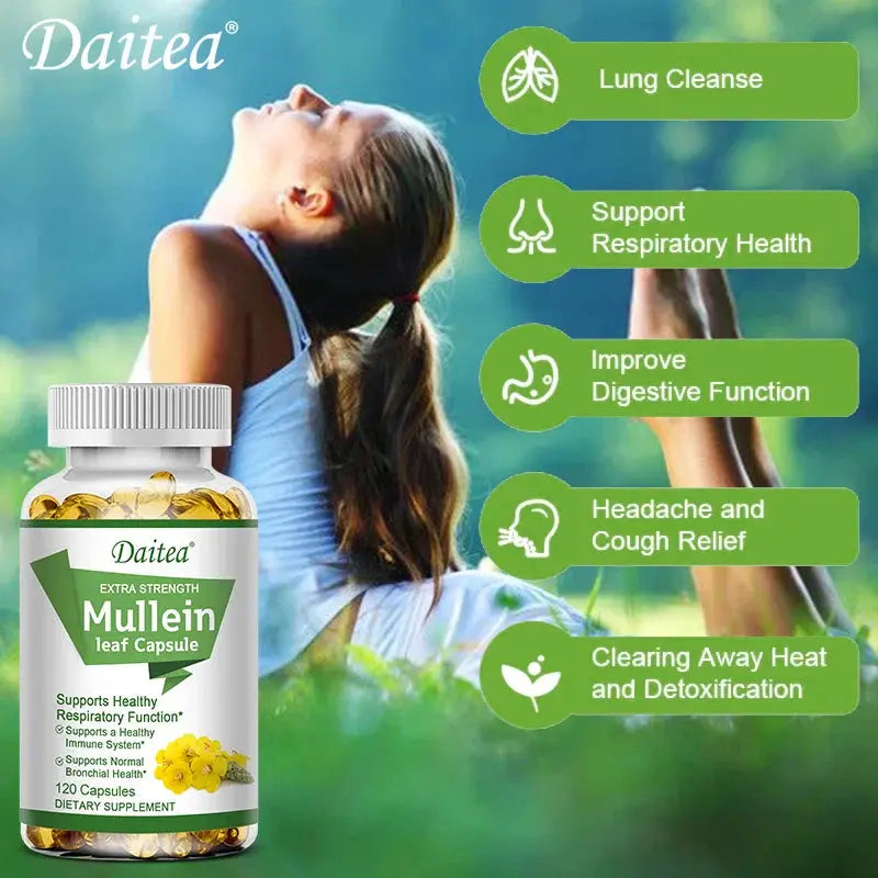 Natural Mullein Leaf Capsules Herbal Supplement for Lung Cleanse, Supports Healthy Respiratory Function, 120 Capsules Roksy