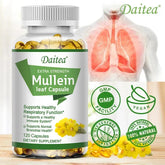 Natural Mullein Leaf Capsules Herbal Supplement for Lung Cleanse, Supports Healthy Respiratory Function, 120 Capsules Roksy