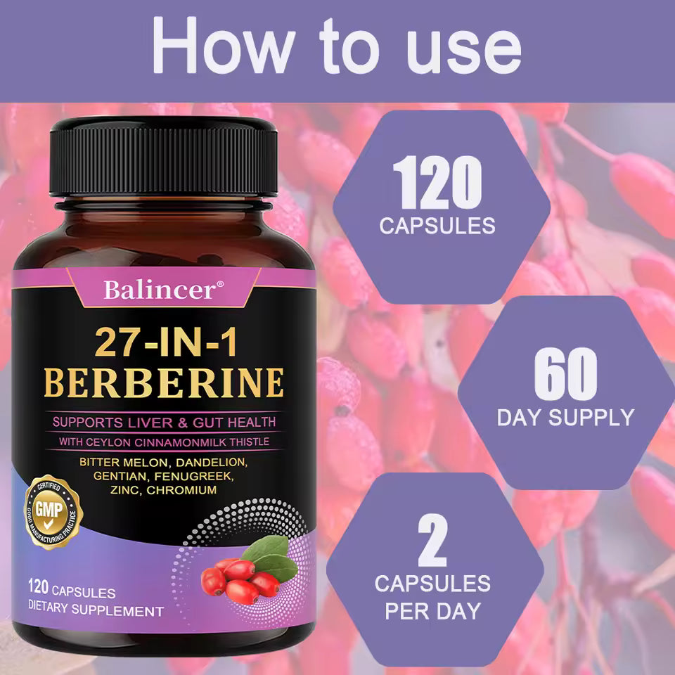 27-IN-1 Berberine Supplement | Liver and Gut Health | Blood Sugar Support | Ceylon Cinnamon Milk Thistle | 120 Capsules Roksy