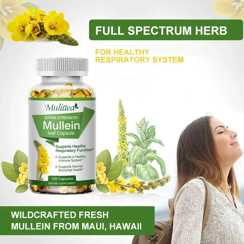 Mulittea Natural Mullein Leaf Capsules Herbal Supplement for Lung Cleanse Helps Healthy Respiratory Function & Mucous Membranes Roksy