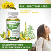 Mulittea Natural Mullein Leaf Capsules Herbal Supplement for Lung Cleanse Helps Healthy Respiratory Function & Mucous Membranes Roksy