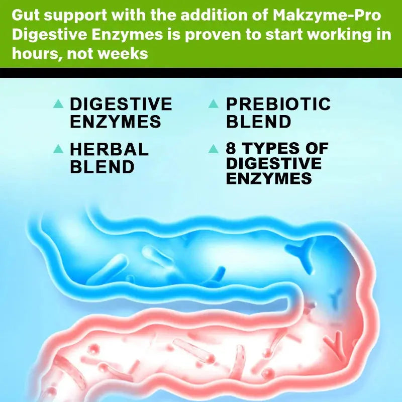 Digestive Enzymes Capsules - Aids in Bowel Movements, Metabolism, Nutrient Digestion and Intestinal Health Roksy