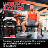 Korean Red Ginseng, Ginsenoside Extract, Energy Supplement, Supports Energy, Focus, Stamina, 120 Capsules Roksy