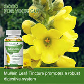 Mulittea Natural Mullein Leaf Capsules Herbal Supplement for Lung Cleanse Helps Healthy Respiratory Function & Mucous Membranes Roksy