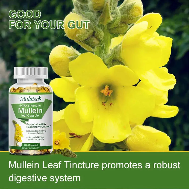 Mulittea Natural Mullein Leaf Capsules Herbal Supplement for Lung Cleanse Helps Healthy Respiratory Function & Mucous Membranes Roksy