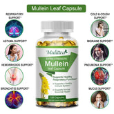 Mulittea Natural Mullein Leaf Capsules Herbal Supplement for Lung Cleanse Helps Healthy Respiratory Function & Mucous Membranes Roksy