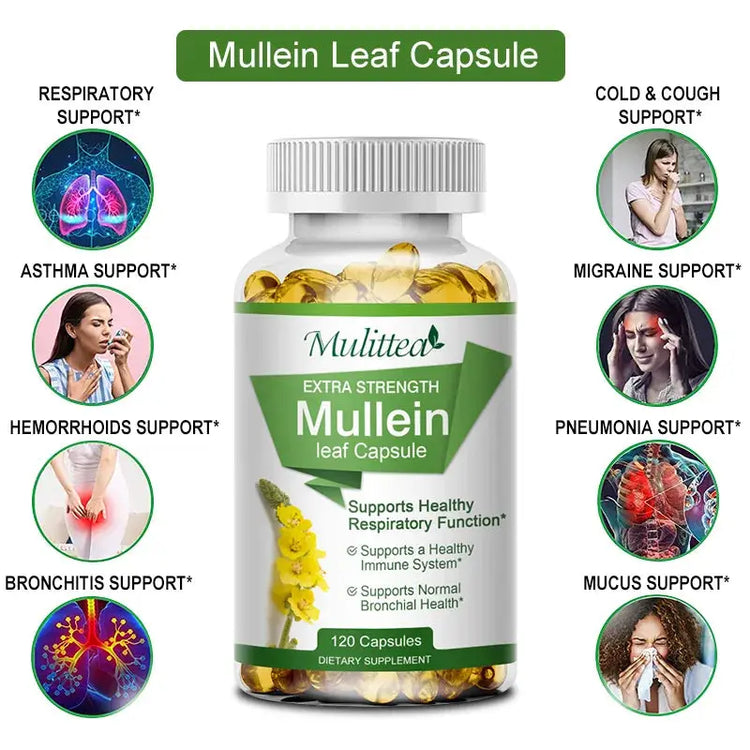 Mulittea Natural Mullein Leaf Capsules Herbal Supplement for Lung Cleanse Helps Healthy Respiratory Function & Mucous Membranes Roksy