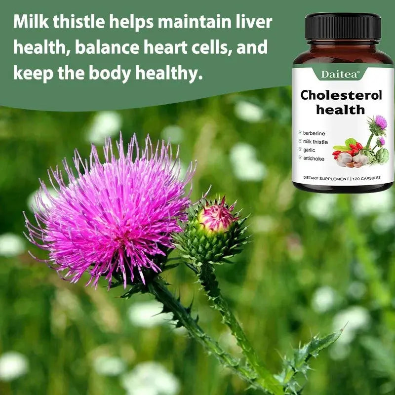 Supplements for Cholesterol Health - Natural Support for Heart, Liver, Digestive and Metabolic Health, 120 Vegetarian Capsules Roksy
