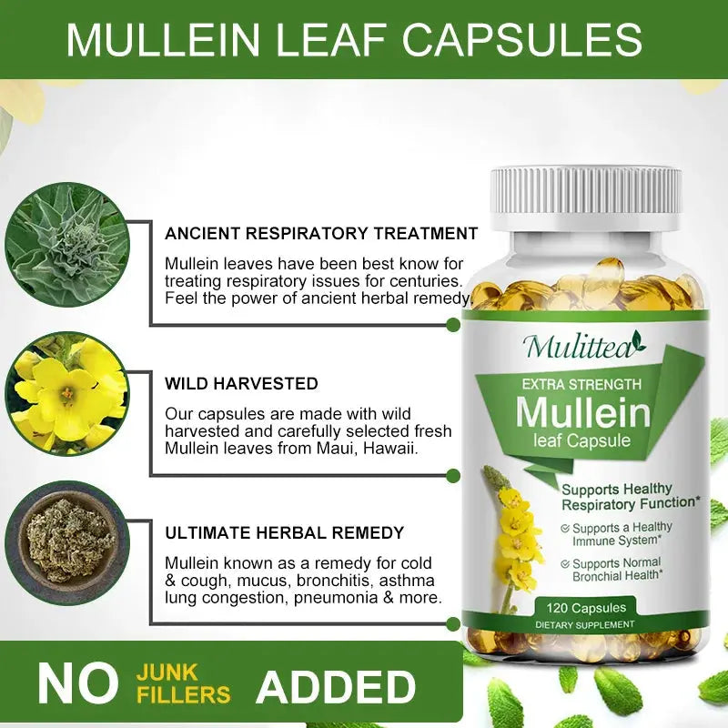 Mulittea Natural Mullein Leaf Capsules Herbal Supplement for Lung Cleanse Helps Healthy Respiratory Function & Mucous Membranes Roksy
