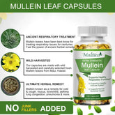 Mulittea Natural Mullein Leaf Capsules Herbal Supplement for Lung Cleanse Helps Healthy Respiratory Function & Mucous Membranes Roksy