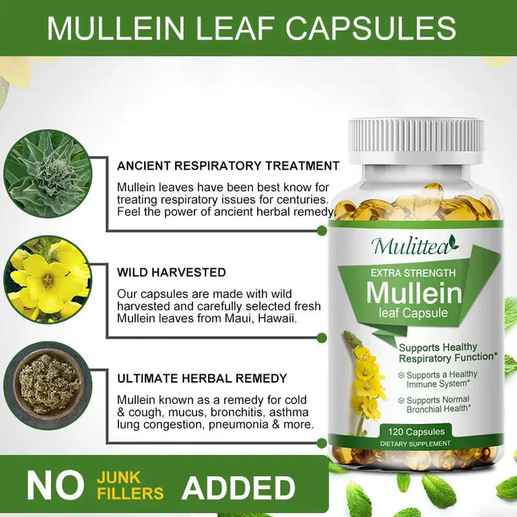 Mulittea Natural Mullein Leaf Capsules Herbal Supplement for Lung Cleanse Helps Healthy Respiratory Function & Mucous Membranes Roksy