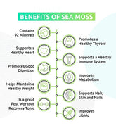 Rapid Immune Support Kit for Adults | Elderberry & Sea Moss Gel – Fast-Acting Immunity Booster Seamoss depot