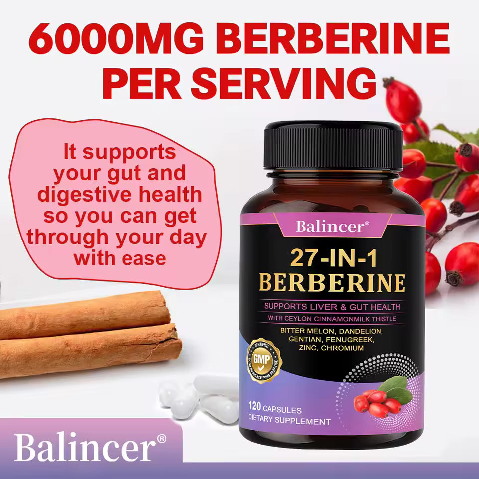 27-IN-1 Berberine Supplement | Liver and Gut Health | Blood Sugar Support | Ceylon Cinnamon Milk Thistle | 120 Capsules Roksy