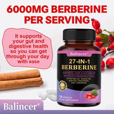 27-IN-1 Berberine Supplement | Liver and Gut Health | Blood Sugar Support | Ceylon Cinnamon Milk Thistle | 120 Capsules Roksy