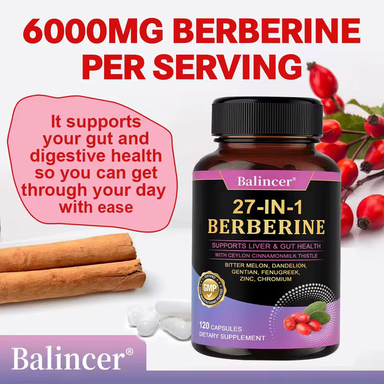 27-IN-1 Berberine Supplement | Liver and Gut Health | Blood Sugar Support | Ceylon Cinnamon Milk Thistle | 120 Capsules Roksy