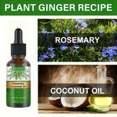 Rosemary Essential Oil Improves Frizz Strengthen Hair Roots Preventing Hair Dryness Split Nourishing Soft Glossy Hair Care Oil Roksy