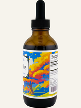 Organic Ginkgo Biloba Blessed Botanicals