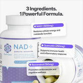 NAD+ FORTCORE.US