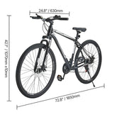 Mountain Bike, 29 inch MTB Bicycle with Front Suspension, 21 Speeds SHIMANO Twist Shifting, Comfort Saddle, Dual Disc Brakes, Aluminum Alloy Frame, Adult Sport Cycling Bicycle Trail Snow Berry Charmz