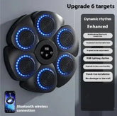 Smart Bluetooth Wireless Boxing Fitness Kit – Home Exercise Equipment Anti Spier
