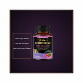 27-IN-1 Berberine Supplement | Liver and Gut Health | Blood Sugar Support | Ceylon Cinnamon Milk Thistle | 120 Capsules Roksy