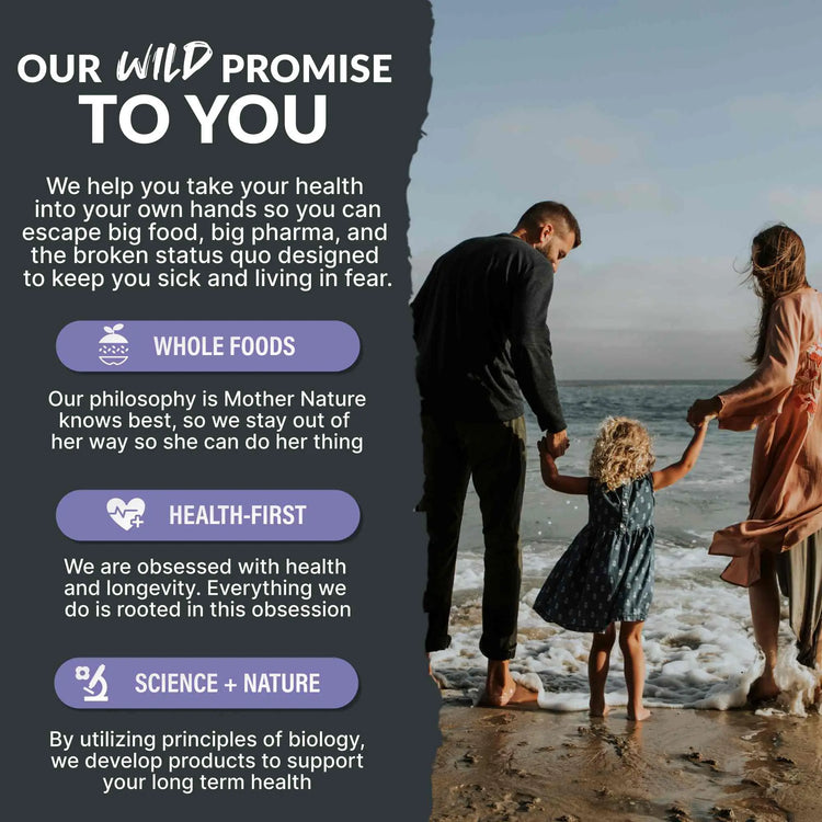 Wild Kids Calm Gummies – Relaxation & Sleep Support Wild Foods