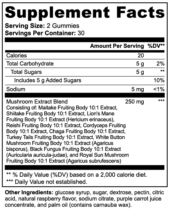 Mushroom Gummies for Enhanced Wellness Support | Mushroom Extract Complex 60ct Roksy